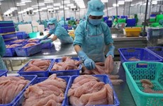 Exportaciones acuáticas vietnamitas en segundo trimestre suben 36 por ciento 