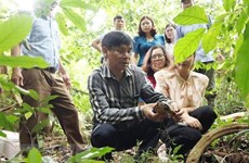 Liberan en Vietnam 58 ejemplares de animales salvajes al hábitat natural
