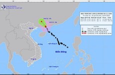 Tifón Chaba se debilita a depresión tropical