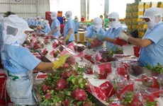 Valor de exportaciones de la provincia de Tien Giang aumentó 18,5 % en el primer semestre