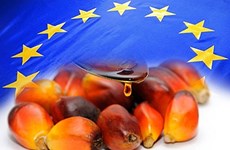 ASEAN y UE promueven cooperación en industria de aceite de palma