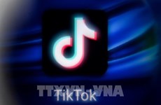 Eliminan 2,4 millones de videos de TikTok de usuarios vietnamitas con contenidos inapropiados  