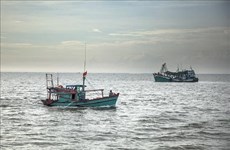 Vietnam dispuesto a cooperar y compartir experiencias en la lucha contra la pesca ilegal