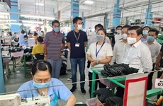 Producción industrial de Vietnam crece 8,48 por ciento en el primer semestre