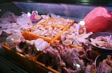 Indonesia pronto exportará pollo a Singapur