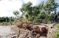 Provincia vietnamita refuerza medidas ante la erosión