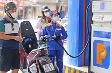 Precios de gasolina en Vietnam registran fuerte disminución 
