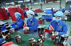 Provincia vietnamita experimenta alza en cantidad de nuevas empresas