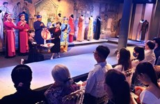 Presentación de patrimonios culturales inmateriales vietnamitas deleita al público