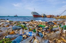 UNDP apoya a Vietnam en control de contaminación marina