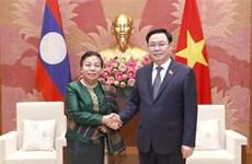 Abogan por consolidar gran amistad y cooperación integral entre Vietnam y Laos