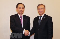 Vietnam y Laos atesoran fraternidad tradicional, destaca funcionario vietnamita