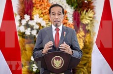 Presidente de Indonesia realizará visita a Japón