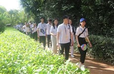Jóvenes vietnamitas en ultramar: embajadores para impulsar lazos con otros países