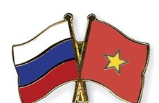 Vietnam y Rusia intercambian felicitaciones por décimo aniversario de Asociación Estratégica Integral