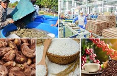 Experimenta Vietnam señales alentadores de exportaciones en siete meses