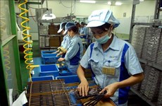 Aumentan empresas en sector no estatal e IED en Vietnam