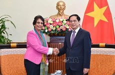 Canciller vietnamita recibe a la directora regional del PNUD para Asia-Pacífico 