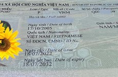Empeñan en favorecer ingreso de vietnamitas con nuevos pasaportes a Alemania 