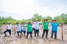 PNUD continúa apoyando a provincia vietnamita en respuesta al cambio climático