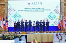 Vietnam asiste a reunión del Comité de Tratado de Zona Libre de Armas Nucleares del Sudeste Asiático