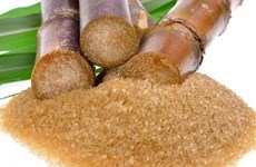 Aplican medidas antidumping para proteger industria azucarera de Vietnam