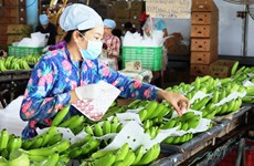 Vietnam y China negocian requisitos fitosanitarios para exportación de frutas
