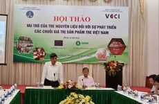 Promueven desarrollo de industria de bambú en Vietnam 