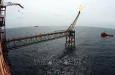 Modifican por completo Ley de Petróleo en Vietnam en la nueva situación