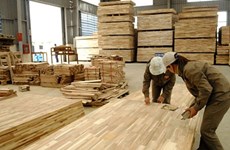 Estados Unidos extiende investigación contra madera contrachapada de Vietnam