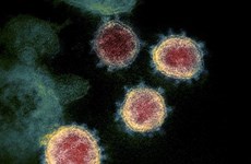 Se registran 65 mil afectados por virus similares al SARS-CoV en Sudeste Asiático