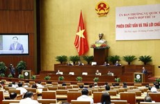 Interpelan cuestiones relativas a ciberseguridad en Vietnam