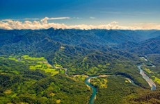 Myanmar tiene dos nuevas áreas forestales públicas protegidas