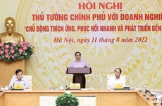 Primer ministro vietnamita sostiene conferencia virtual con empresas
