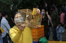 Liberación de aves: buen hábito de los hanoyenses en el Festival Vu Lan