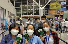 Debaten soluciones para apoyar envío de trabajadores vietnamitas al extranjero
