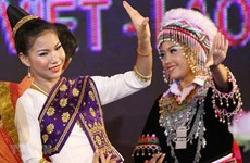 Preparativos para el Festival cultural, deportivo y turístico en la región fronteriza de Vietnam – Laos
