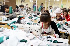Celebrarán exposición internacional de sector textil en Vietnam 