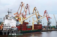 Crece volumen de carga a través de puertos marítimos de Vietnam en julio