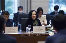Fomentan nexos entre grupos parlamentarios de Vietnam y Japón