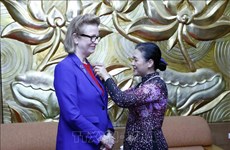 Entregan medalla conmemorativa de amistad a representante de PNUD en Vietnam