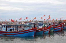 Destacan esfuerzos de provincia vietnamita en lucha contra pesca ilegal