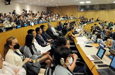 Vietnam aporta a la negociación del tratado sobre biodiversidad de los océanos de ONU
