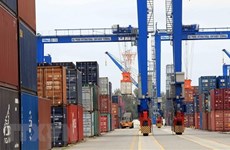 Ciudad de Hai Phong ofrece servicio gratis de almacenamiento de contenedores en puerto local