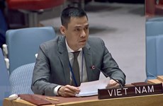 Recomienda Vietnam a PNUD movilizar más recursos para cumplimiento de ODS
