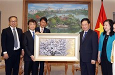 Vietnam y Japón fortalecen cooperación en salud 