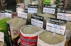 Tailandia y Vietnam colaborarán para aumentar precio de arroz en mercado mundial