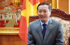 Vietnam y Laos decididos a fomentar relaciones, resalta embajador vietnamita