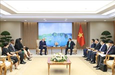 Premier pide a Standard Chartered apoyar a Vietnam en transición energética sostenible 
