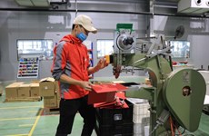 Recaudan parques industriales en provincia vietnamita casi 60 millones de dólares en julio